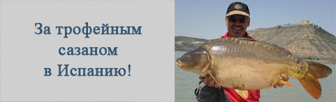 За трофейным сазаном в Испанию
